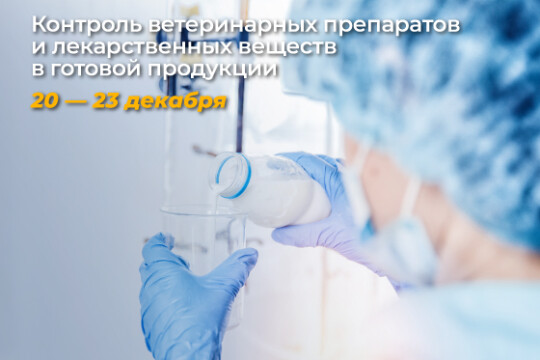 Курсы повышения квалификации